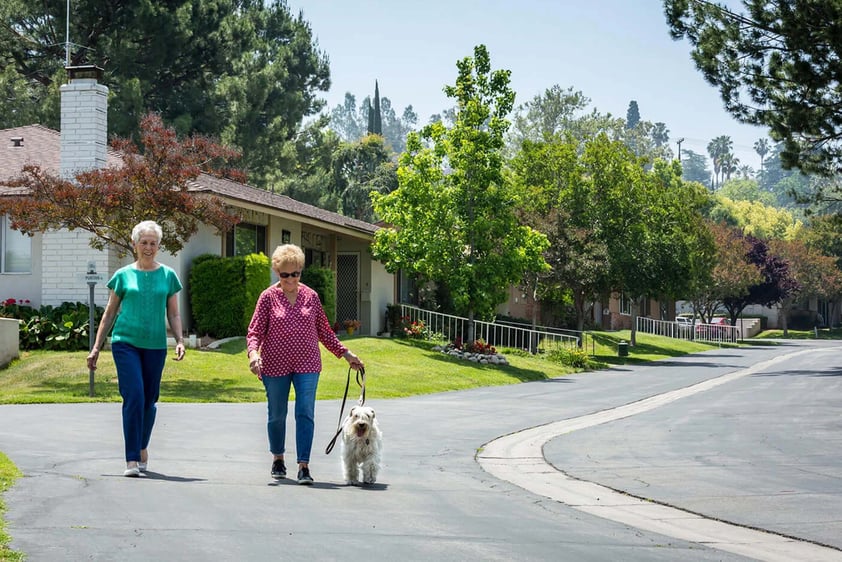 Two senior women walking with a dog around the Plymouth Village Life Plan Community