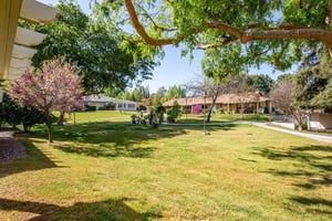 Central green surrounded by single-level homes at Plymouth Village