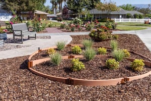 Circular mulch garden at Plymouth Village