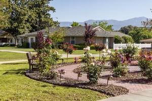 Rose garden area at Plymouth Village