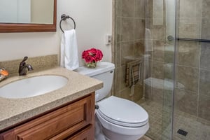 Vanity, toilet and shower in the bathroom of a Plymouth Village home
