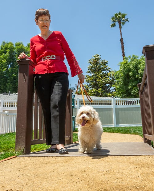 Senior women walking her small white dog to the Plymouth Village dog park