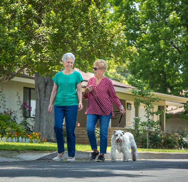 Two senior women walking with a dog around the Plymouth Village Life Plan Community