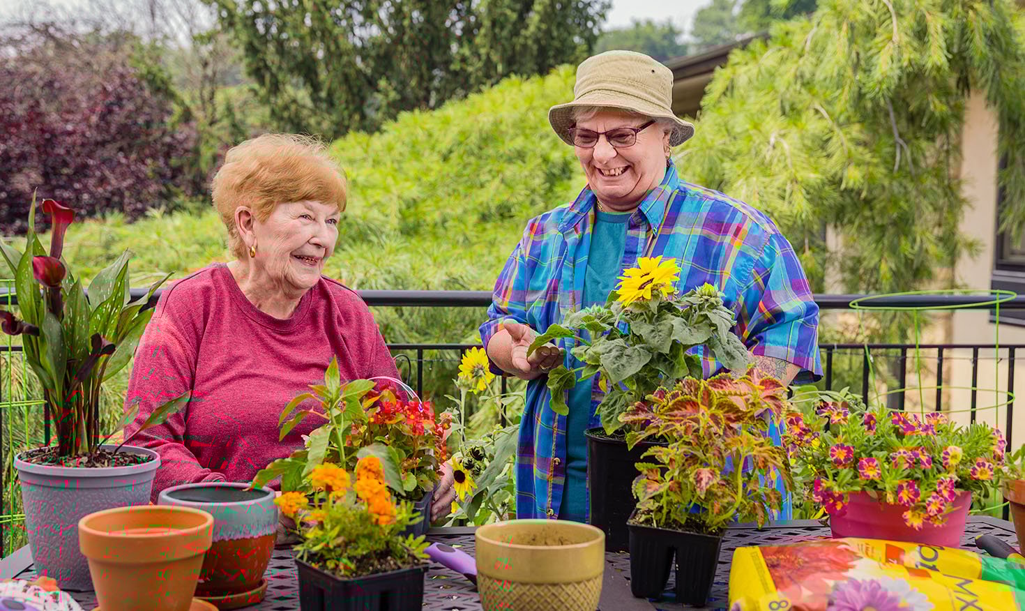 Two senior women potting flowers