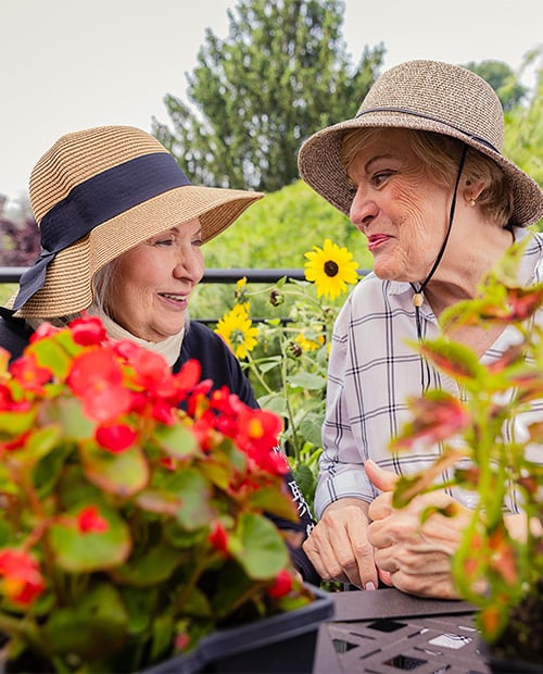 Two senior women wearing sun hats outside while gardening on the grounds of Spring Mill Pointe