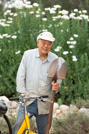 Senior man holding up a shovel in a garden at Westminster Gardens