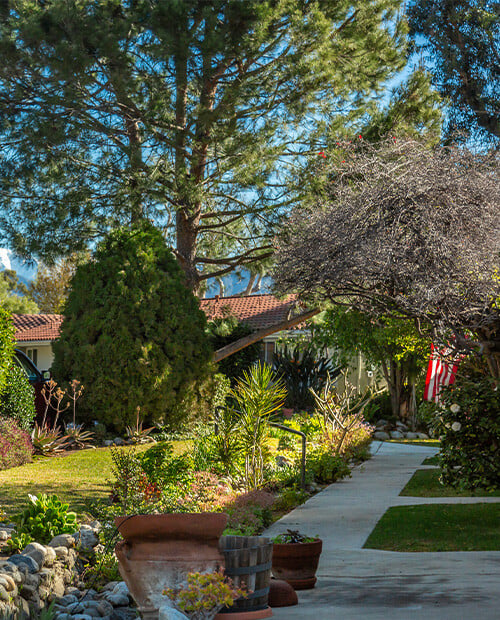 Landscaped grounds at Westminster Gardens