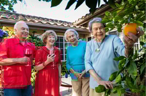 Three senior women — one picking an orange from a tree — and a senior man on the patio of a Westminster Gardens home
