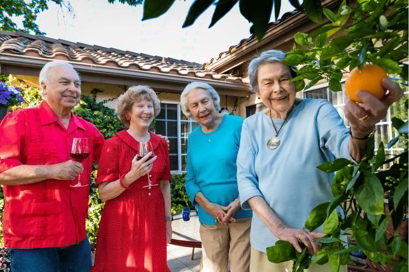 Three senior women — one picking an orange from a tree — and a senior man on the patio of a Westminster Gardens home