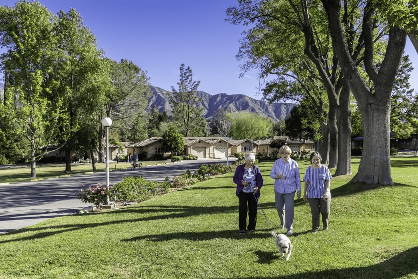 Three senior women — one with a dog — walking on the grounds of Westminster Gardens with mountains in the background