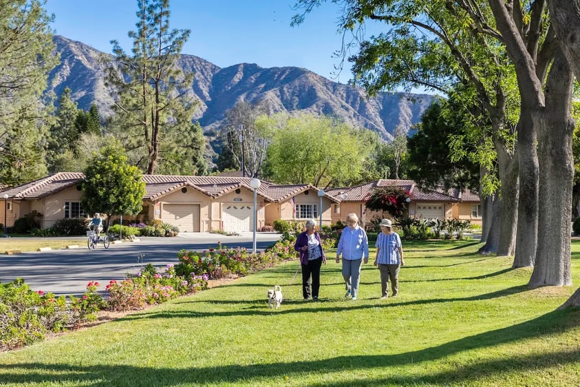 Three seniors — one with a dog — walking on the grounds of Westminster Gardens with mountains in the background