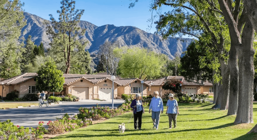 Three residents walking a dog on Westminster Gardens campus