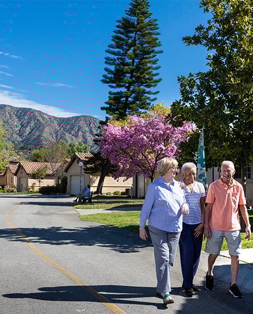 Group of senior people walking with a row of homes in the background