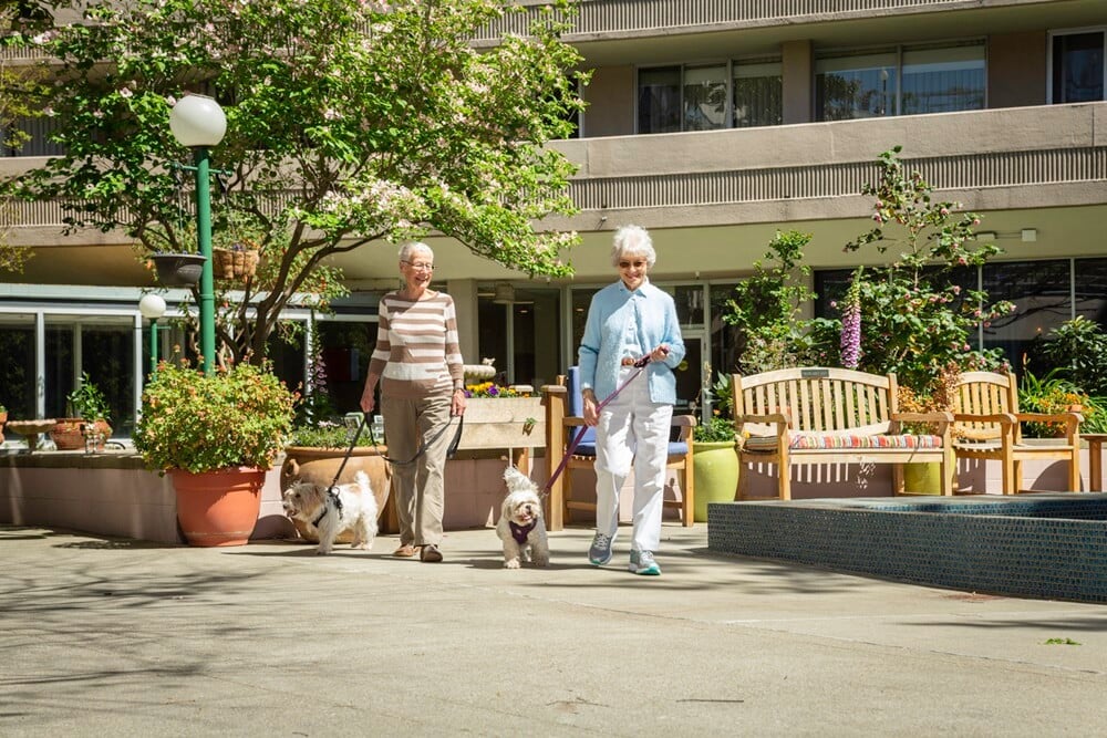 2 women walking dogs in courtyard