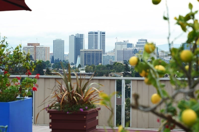 roof top view (no high rise)