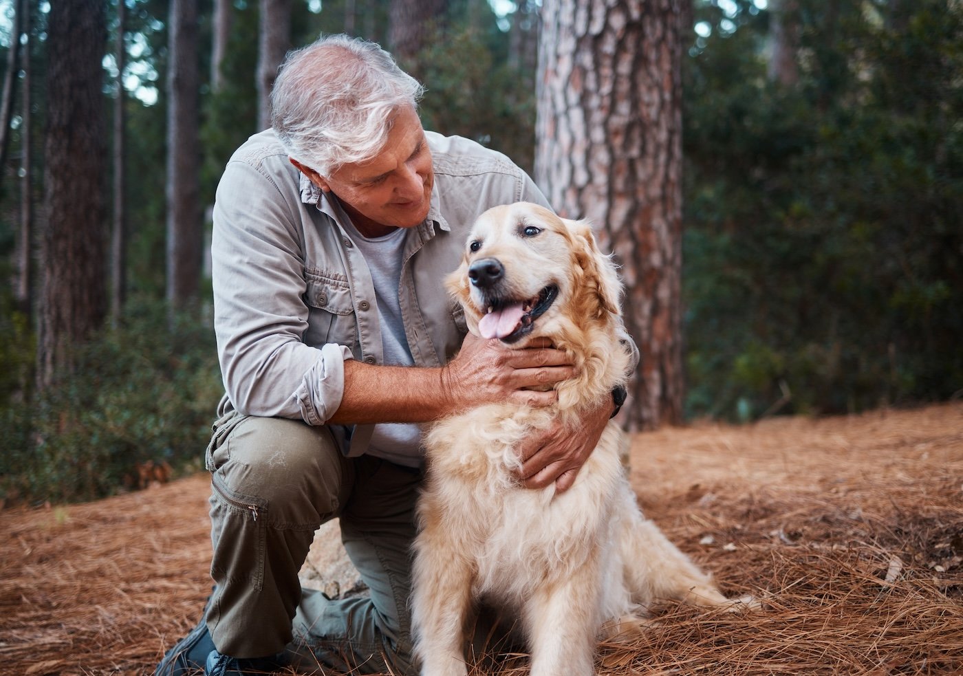 older man outside petting his golden retriever