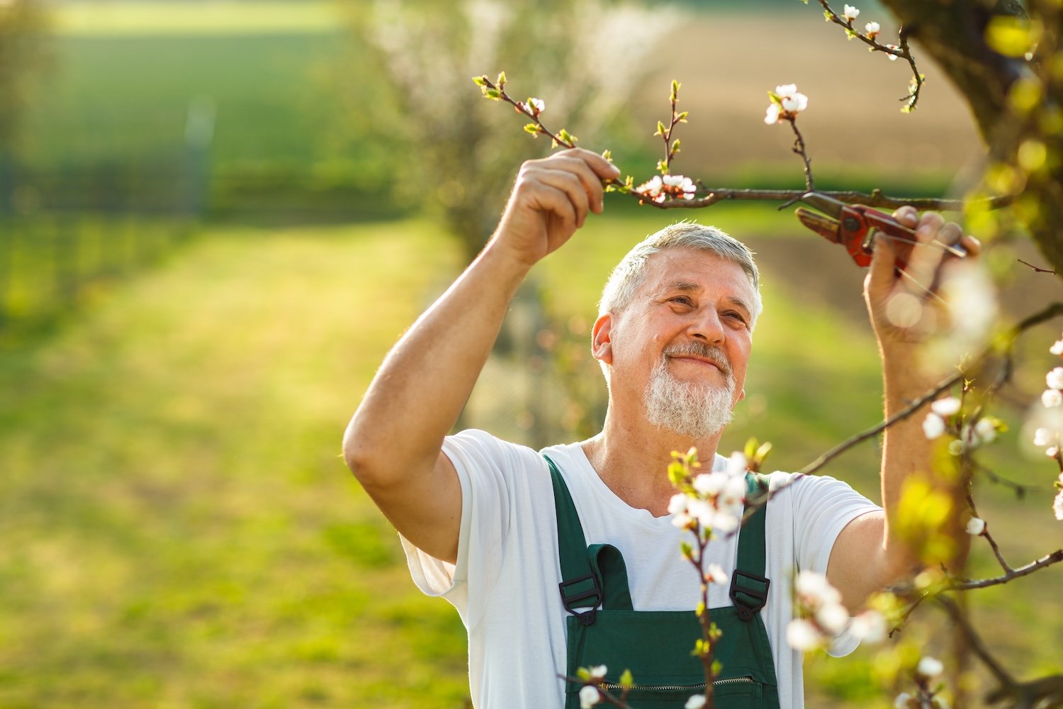 older man gardening outside