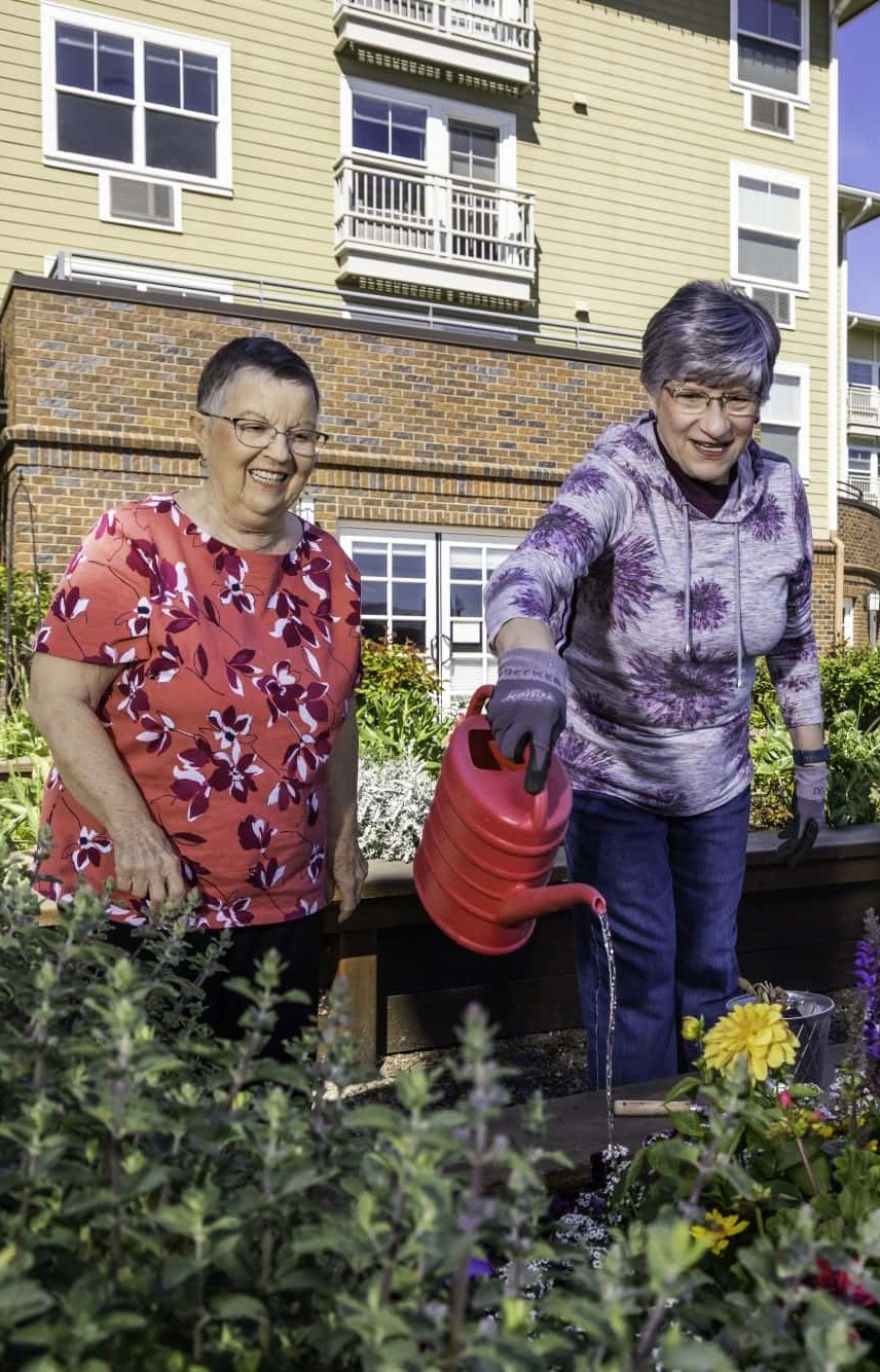 Two women tending to garden