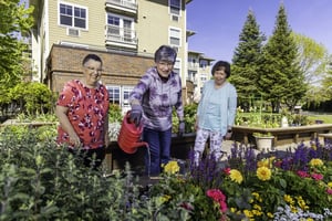 Senior woman watering flowers in the garden as two other senior women watch