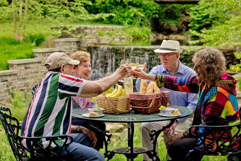 Seniors toasting with wine glasses at an outdoor table with picnic baskets