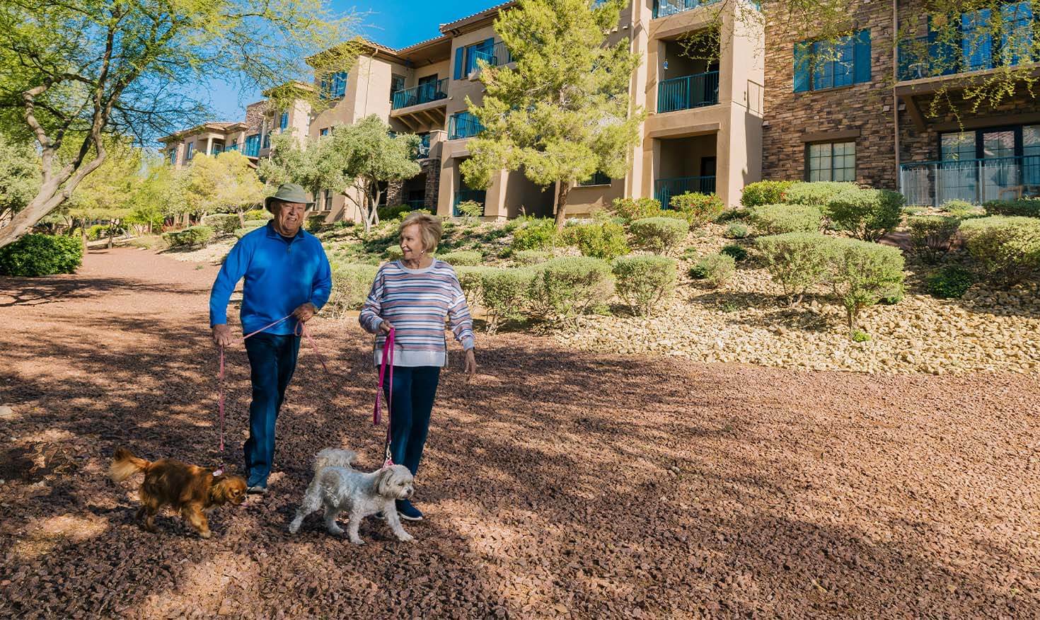 Senior man and woman walking small dogs on the grounds of Las Ventanas at Summerlin