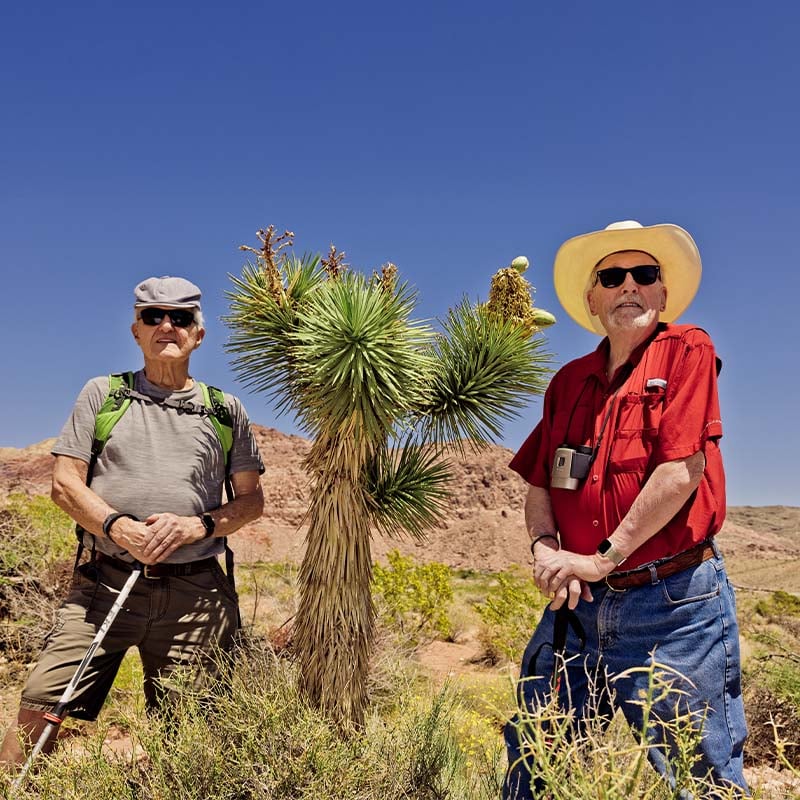 Two senior men pose next to a plant while on a hike