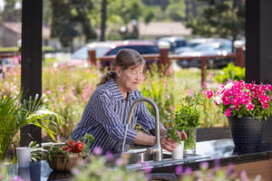 Woman gardening plants