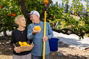 Couple picking fruit from a tree