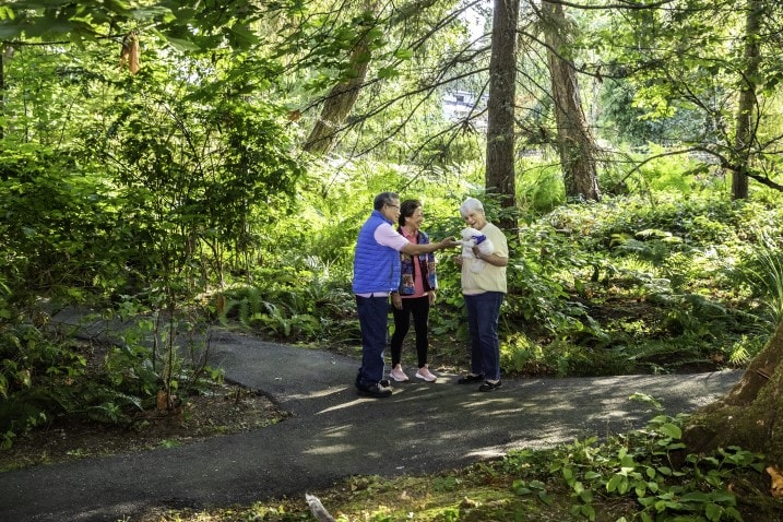 Three people and a dog walking on a path through the park