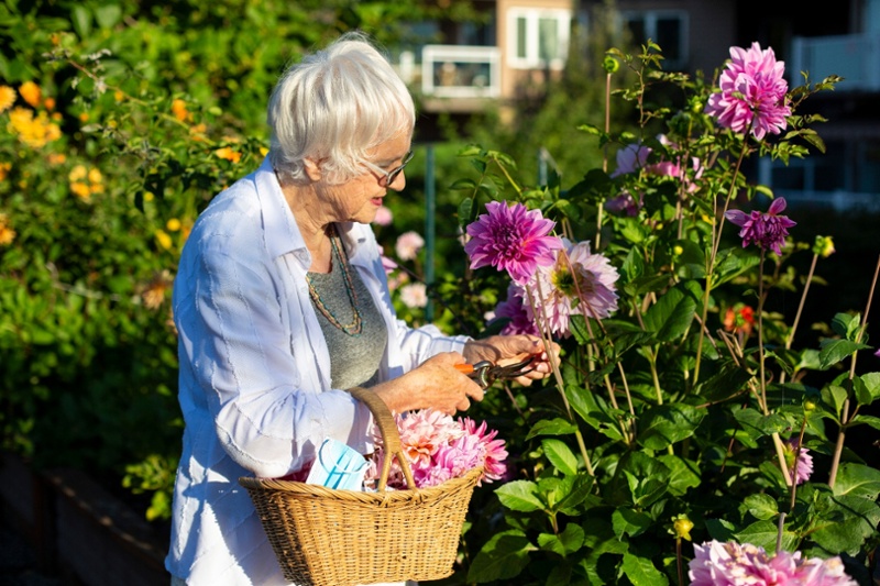 Woman picking flowers in a garden