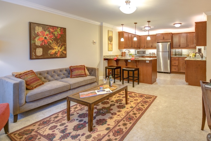 An open-concept living room and kitchen