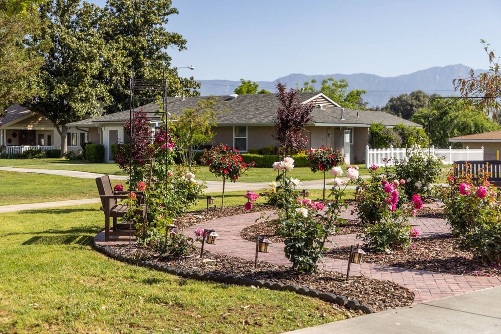 Flower garden path