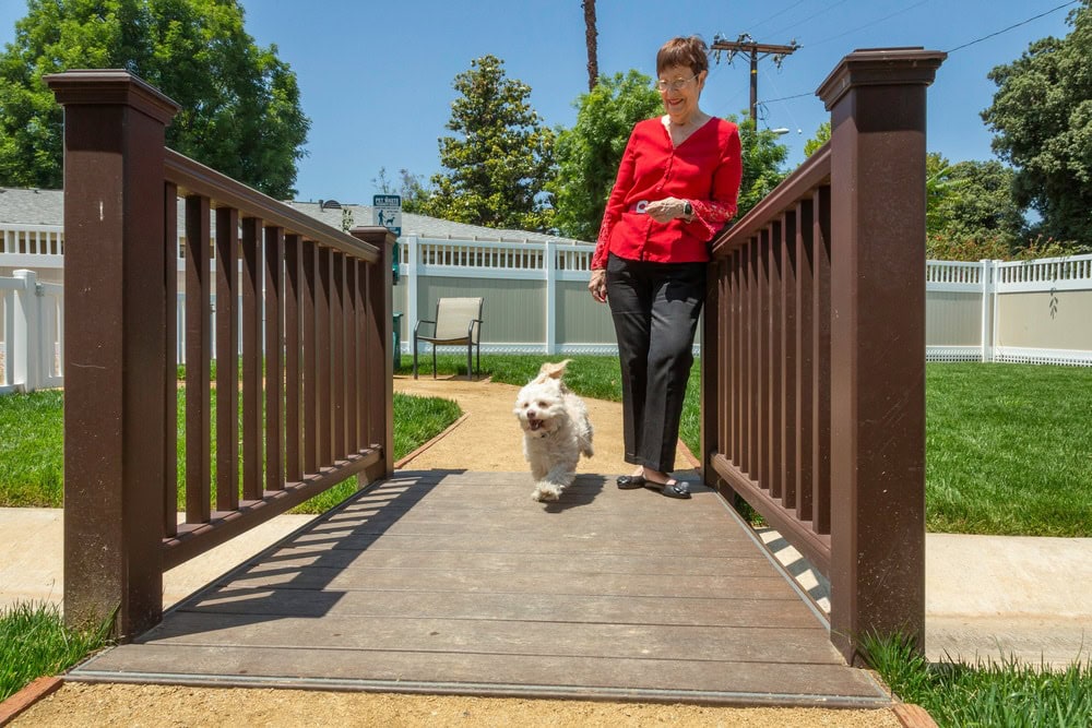 Woman walking her dog across a small bridge