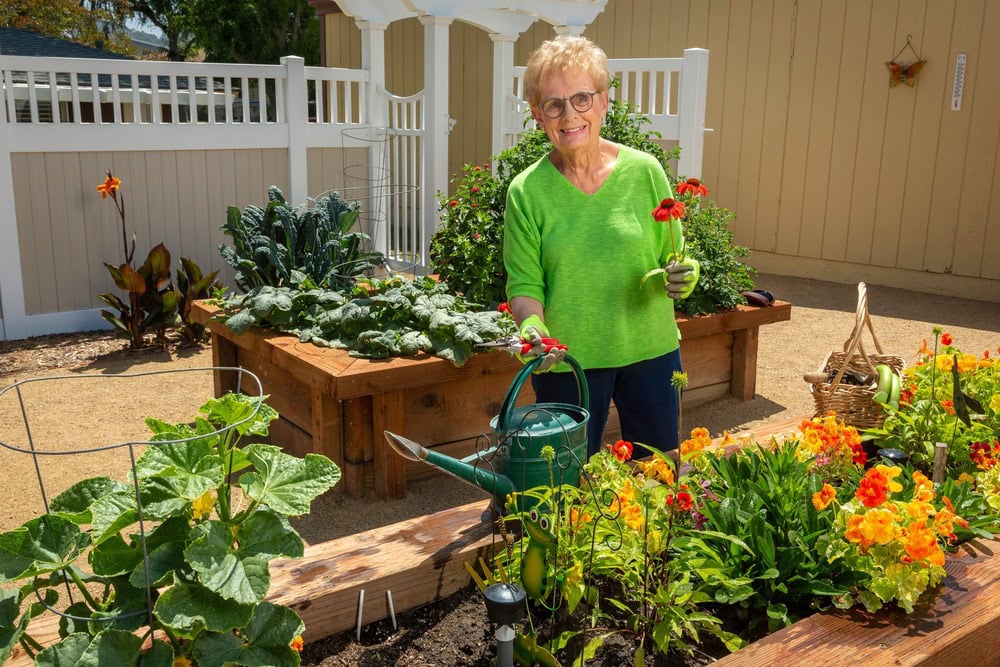 Woman at garden planter boxes