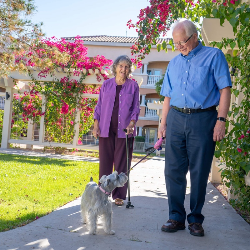 A senior couple walking their dog through a garden