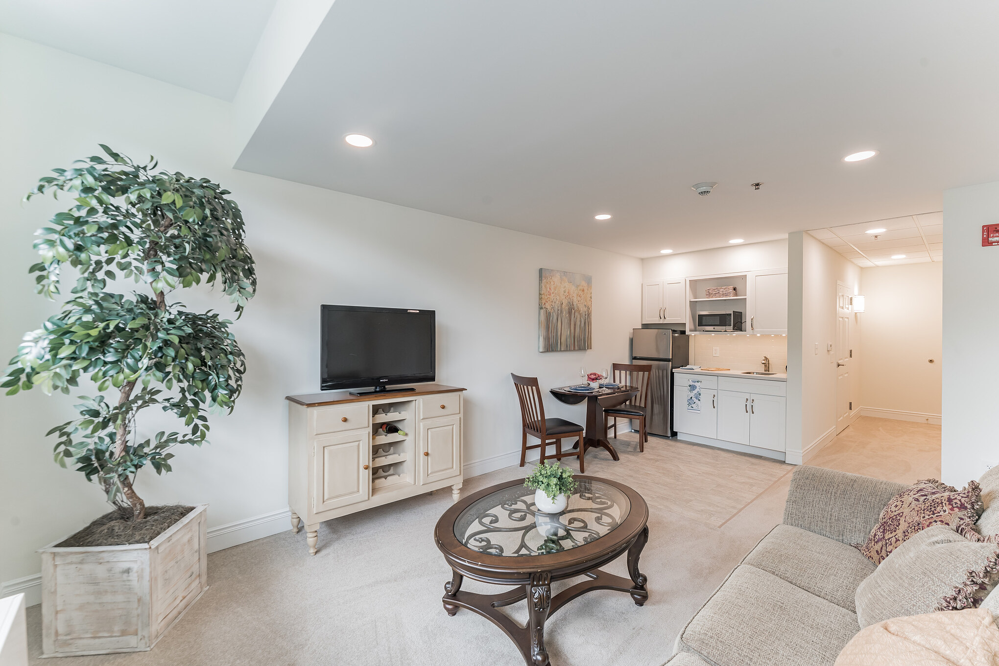 Living room with big plant