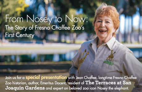 Graphic of Jean Chaffee, with text that reads “From Noesey to Now: The story of Fresno Chaffee Zoo's first century at The Terraces of San Joaquin Gardens"