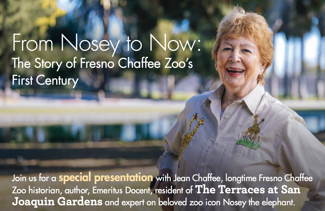 Graphic of Jean Chaffee, with text that reads “From Noesey to Now: The story of Fresno Chaffee Zoo's first century at The Terraces of San Joaquin Gardens"
