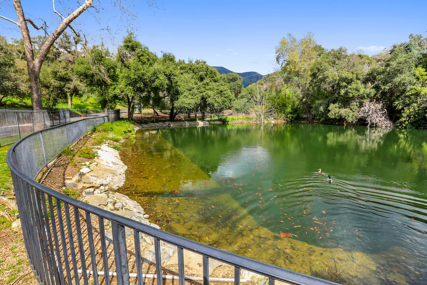 Royal Oaks Amenities California Senior Living Facility