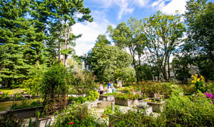 Gallery-Rosemont_GloriousGardens