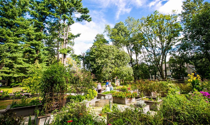 Gallery-Rosemont_GloriousGardens