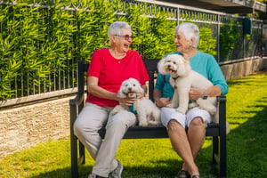 Two ladies with their dogs on bench