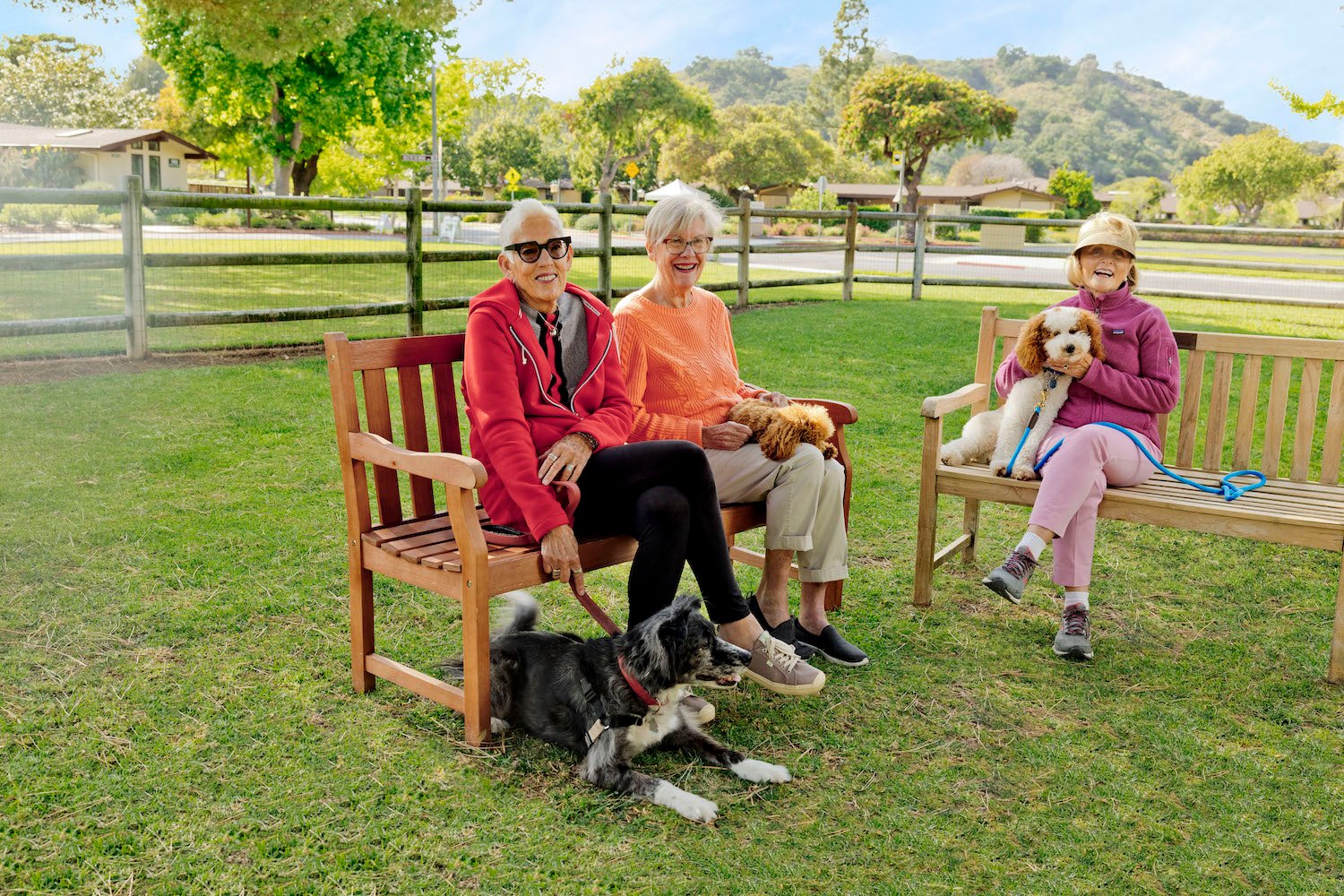 dog park, 3 ladies