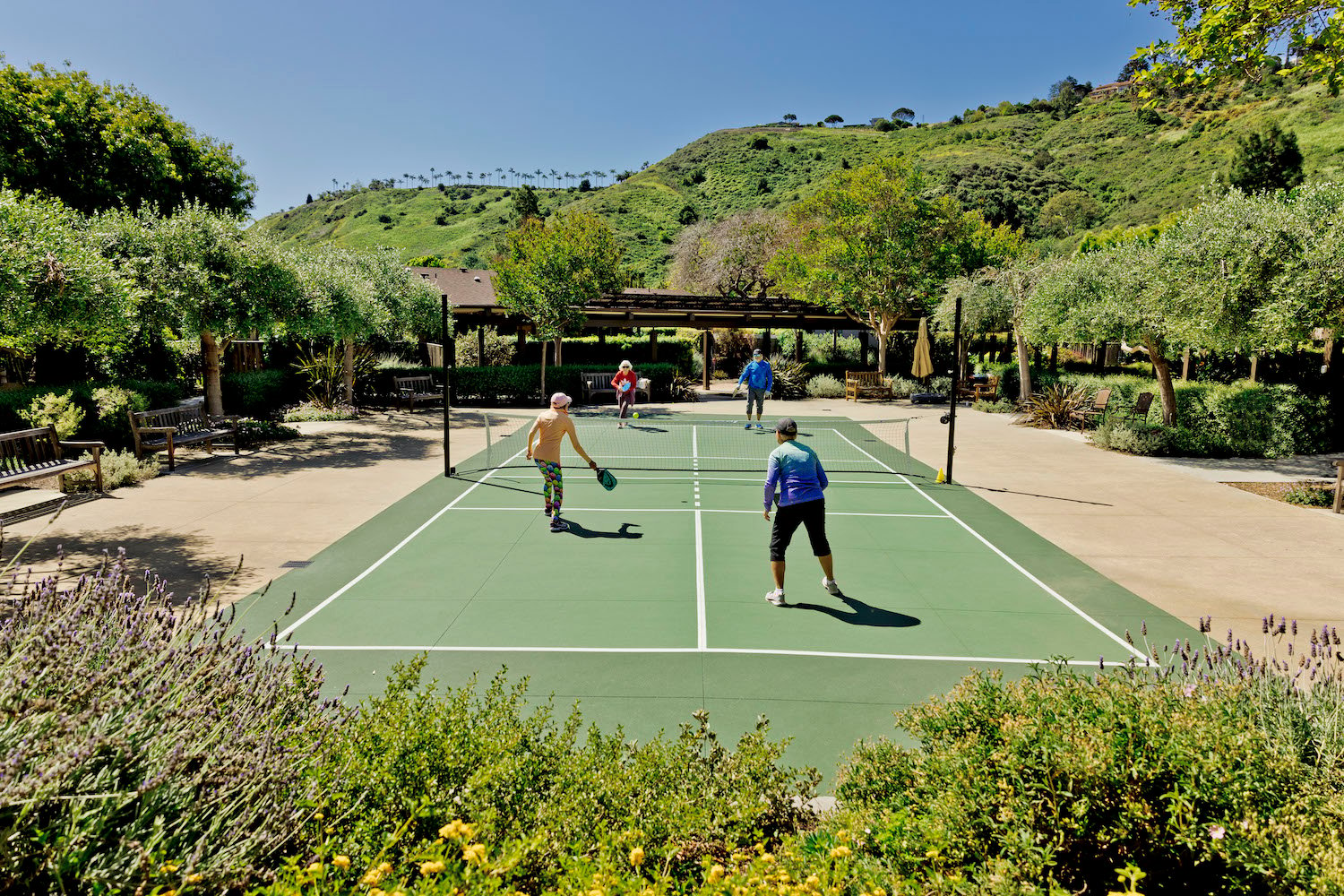 pickle ball with beautiful hills