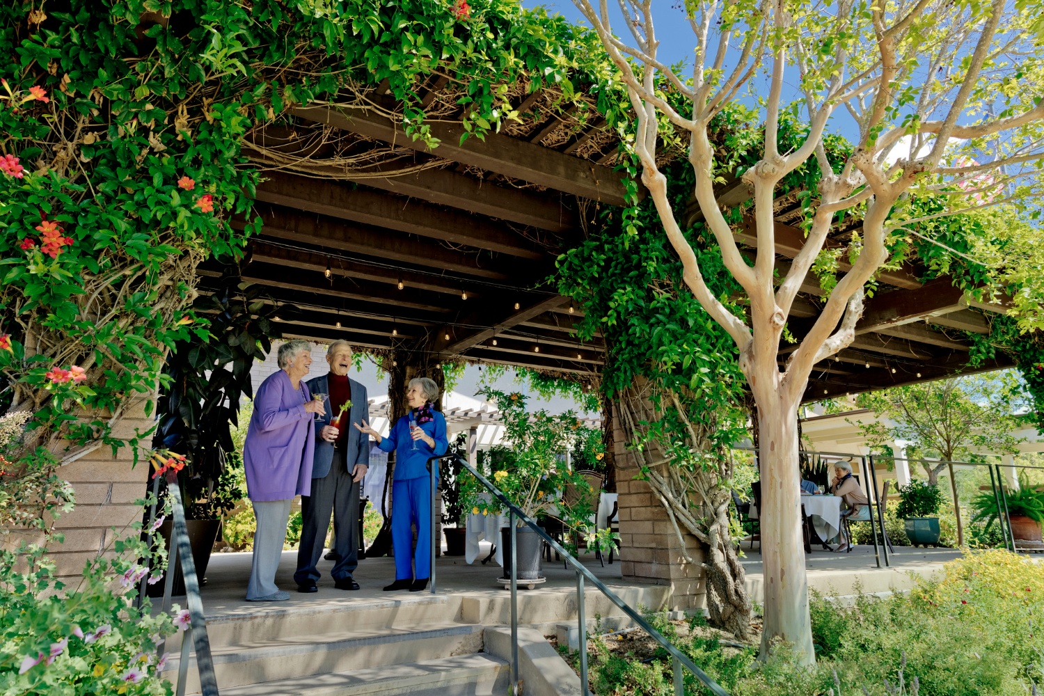 wine party, pergola, trio