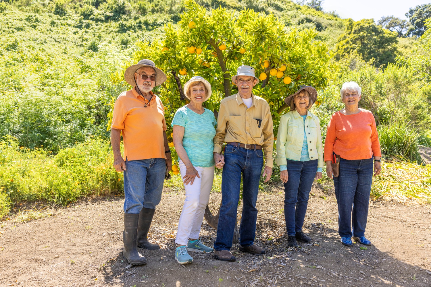 Group orange picking