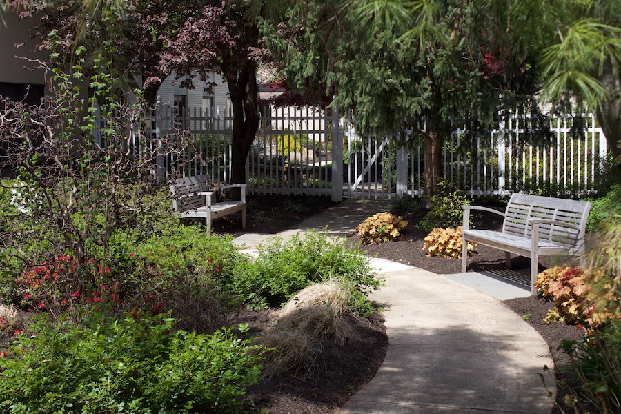 View Our Independent Living Media Gallery Spring Mill Pointe