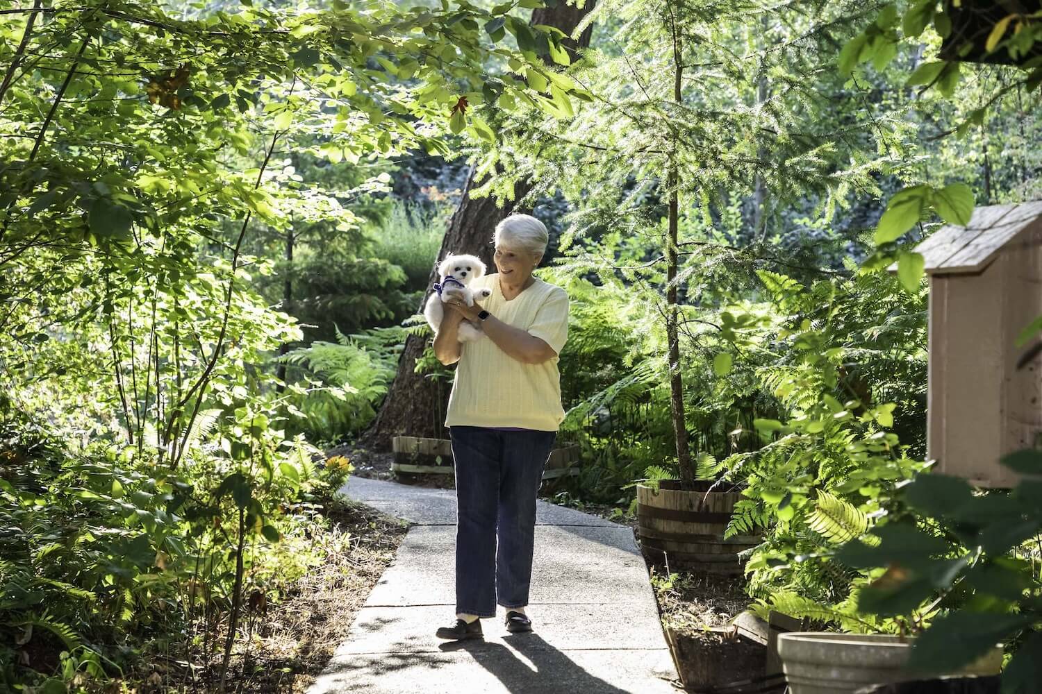 senior woman holding a small white dog on a walking path outside