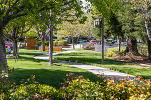 Path winding through the grounds of The Terraces at Summitview