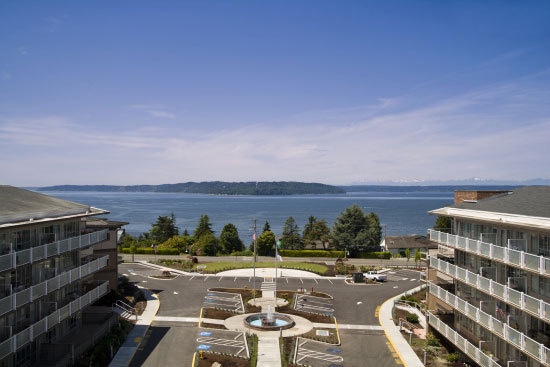 Drone shot of the community next to the water